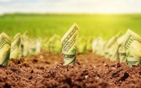 7 Tips Investasi Tanah yang Terbukti Bikin Untung