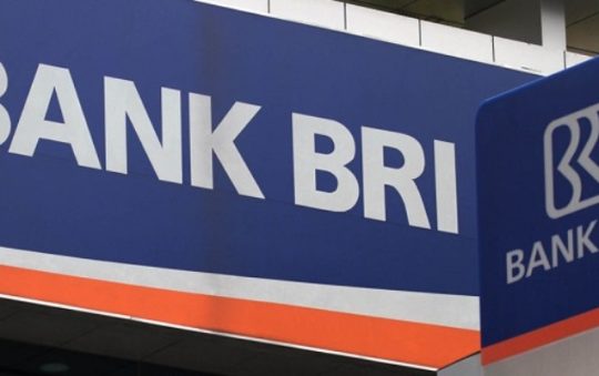 Pinjaman Bank BRI: Jenis, Syarat dan Kegunaan