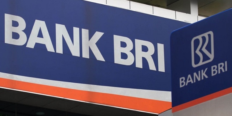 Pinjaman Bank BRI: Jenis, Syarat dan Kegunaan