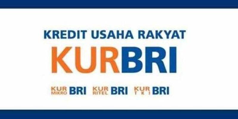 Pinjaman Bank BRI KUR